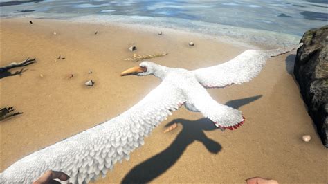 There may be some discrepancies between this text and the in-game creature. . Pelagornis ark
